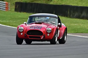 CM33 3654 Ben Gill, Shelby American Cobra