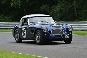 CM33 3887 Guy Parry-Williams, Simon Parry-Williams, Austin Healey 3000