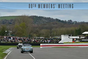 80th Members Meeting Banner Prints: CM34 5616 Vincent Jannsens, Austin Healey 100-4