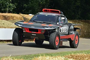 Rough Terrain Prints: CM35 0833 Audi RS Q e-tron Dakar Rallye