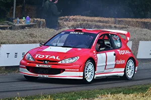 CM35 0855 Tom Williams, Max McRae, Peugeot 206 WRC