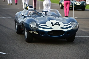 Goodwood Revival 2014 Friday Prints: CM4 9635 Christian Glaesel, Jaguar D-Type Long Nose, RSF 302