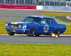 2015 Prints: CM6 0941 David Clifford, Ford Mustang