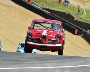 Allstars Prints: CM8 1928 Tom Shephard, Alfa Romeo Giulietta Ti