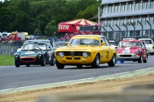 Allstars Prints: CM8 2218 Richard Frankel, Alfa Romeo GTA