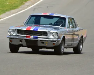 Allstars Prints: CM8 2319 Nicholas King, Ford Mustang