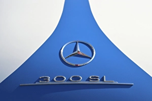 Ambience Prints: CZ1_5650 Mercedes Benz 300 SL boot lid badge.jpg