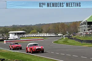 Moss Trophy Prints: CZ1_7500 Gregor Fisken, Shelby Cobra 260, John Spiers, Shelby Cobra 260.jpg