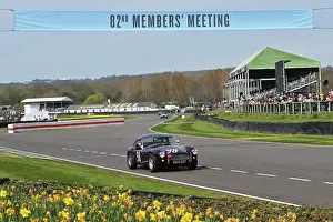 Shelby Cobra Prints: CZ1_7503 Nigel Batchelor, Shelby Cobra.jpg