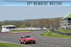 Moss Trophy Prints: CZ1_7529 John Spiers, Shelby Cobra 260.jpg