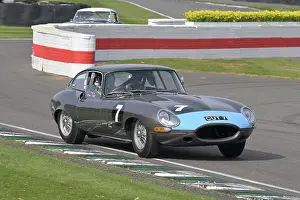 Jaguar E Type Fhc Prints: CZ1_7549 Richard Meins, Jaguar E-Type FHC.jpg