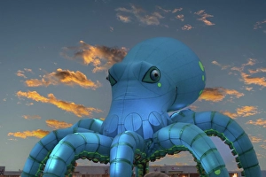 Ambience Prints: CZ1_8589 An octopus at sunset.jpg