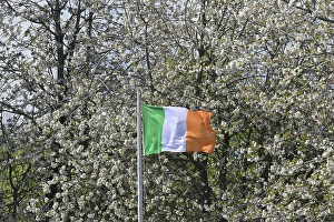 Ambience Prints: CZ1_9896 Eddie Jordan tribute, Irish flag.jpg