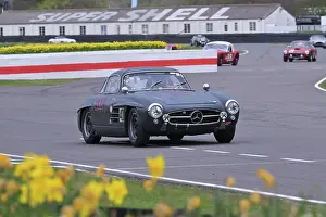 Daffodils Prints: CZ2_0410 Hans Kleissl, Mercedes-Benz 300 SL, Gullwing.jpg
