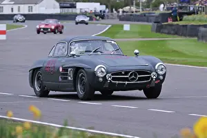 Daffodils Prints: CZ2_0411 Hans Kleissl, Mercedes-Benz 300 SL, Gullwing.jpg