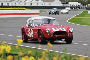 Daffodils Prints: CZ2_0413 Gregor Fisken, Shelby Cobra 260.jpg