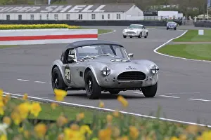 Daffodils Prints: CZ2_0415 Theo Hunt, AC Cobra.jpg