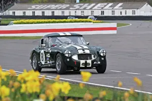 Daffodils Prints: CZ2_0416 Joseph Willmott, Austin-Healey 3000 Mk I.jpg