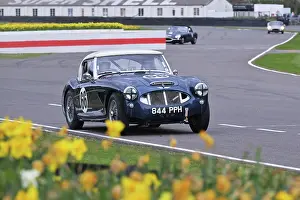 Daffodils Prints: CZ2_0419 Michael Russell, Austin-Healey 3000 Mk I.jpg