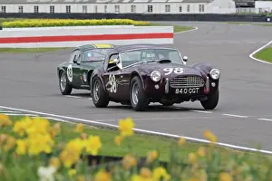 Daffodils Prints: CZ2_0427 Nigel Batchelor, Shelby Cobra.jpg