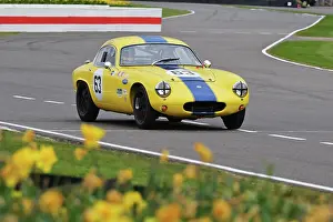 Daffodils Prints: CZ2_0431 John Davison, Lotus Elite.jpg