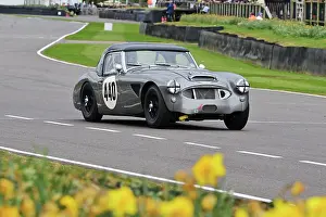 Daffodils Prints: CZ2_0432 Robert Jennings, Austin-Healey 3000 Mk I.jpg