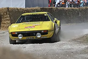 Tony Worswick Prints: CZ3_2243 Tony Worswick, Ferrari 308 GTB Rally.jpg