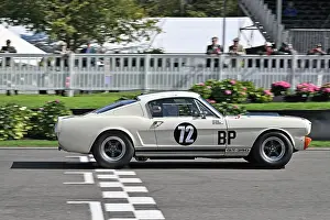 Nick Sleep Prints: CZ4_3700 Nick Sleep, Ford Shelby Mustang GT350.jpg