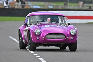 Two Driver Event Prints: CZ4_4051 Jimmie Johnson, Tom Hartley Jnr, AC Cobra Dragonsnake.jpg