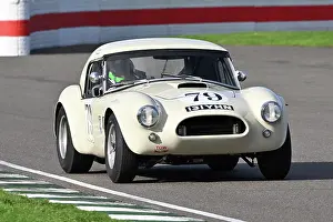 Tourist Trophy Races Prints: CZ4_4412 Dario Franchitti, Andrew Smith, AC Cobra.jpg