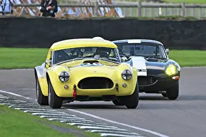 Tourist Trophy Races Prints: CZ4_4432 Jacques Villeneuve, Nick Sleep, Shelby Cobra.jpg
