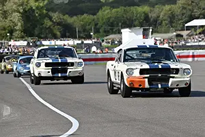 Nick Sleep Prints: CZ4_7013 Nick Sleep, Ford Shelby Mustang GT350