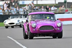 Two Driver Event Prints: CZ4_7266 Jimmie Johnson, Tom Hartley Jnr, AC Cobra Dragonsnake.jpg