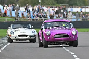 Two Driver Event Prints: CZ4_7287 Jimmie Johnson, Tom Hartley Jnr, AC Cobra Dragonsnake.jpg
