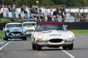 Two Driver Event Prints: CZ4_7289 Scott Dixon, Nick Maton, Jaguar E-Type.jpg