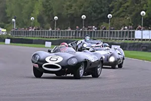 CZ4_7576 Chris Ward, Jaguar D-Type Long Nose.jpg
