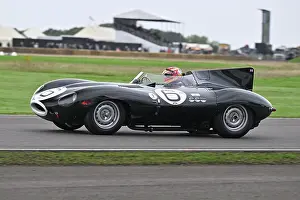CZ4_7782 Chris Ward, Jaguar D-Type Long Nose.jpg