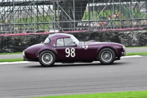 Nigel Winchester Prints: CZ5_2708 Nigel Winchester, Chas Mallard, Shelby AC Cobra.jpg