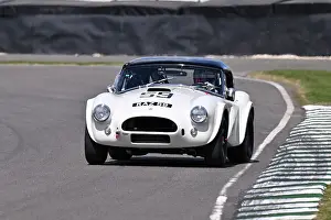 Sports Prototypes Prints: CZ5_8611 Matthew Holme, Shelby Cobra.jpg