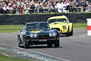 Sports Prototypes Prints: CZ6_0371 Rob Huff, Chevrolet Corvette Sting Ray.jpg