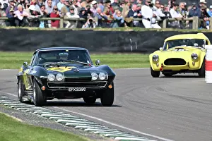 Sports Prototypes Prints: CZ6_0416 Rob Huff, Chevrolet Corvette Sting Ray.jpg