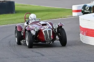 Tim Child Prints: CZ6_1213 Tim Child, Frazer Nash Le Mans replica.jpg