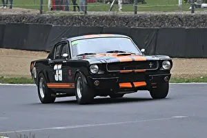 Americana Prints: CZ6_5217 Rickey Nelson, Ford Mustang.jpg