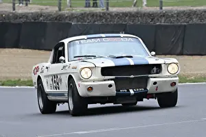 Americana Prints: CZ6_5230 Clayton Sampson, Ford Mustang.jpg
