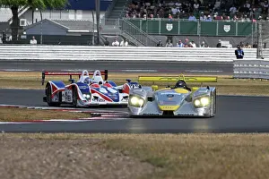 Sports Prototypes Prints: CZ7_0637 Niklas Halusa, Audi R8, Mike Newton, MG-Lola EX264.jpg