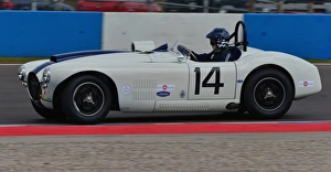 DHF 2013