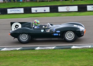 Goodwood Revival 2013 Prints: Gavin Pickering, Jaguar D-Type