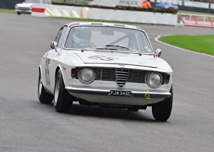 Geoff Turral, St Marys Trophy, FJW 345 C, Alfa Romeo Giulia Sprint GT, Goodwood Revival 2013