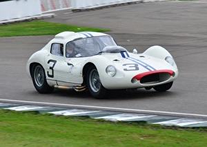 Goodwood Revival 2013 Prints: Joe Colasacco, Derek Hill, Maserati Tipo 151