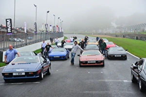 Lotus Festival 2013